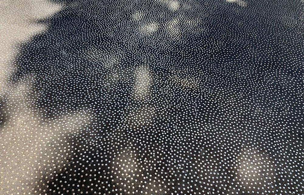 Via Lewandowsky, Nagelschatten