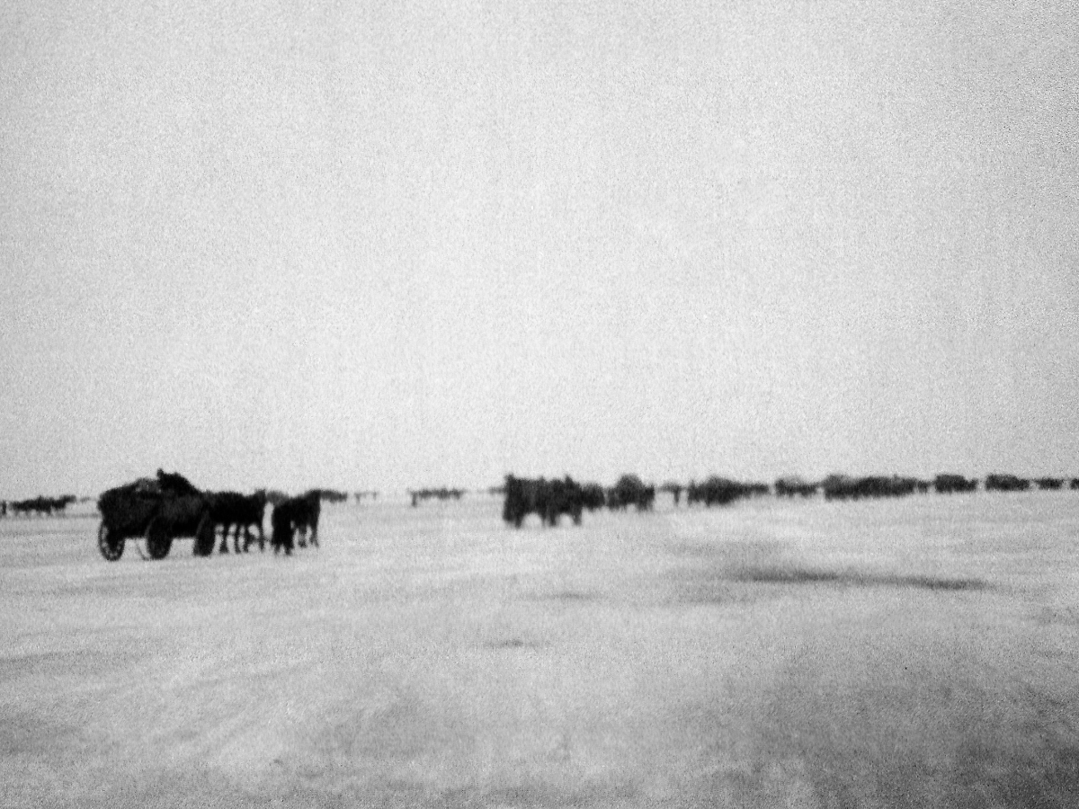 In Pferdetrecks sind sie wochenlang unterwegs in Richtung Ostsee und überqueren schließlich das zugefrorene Frische Haff.