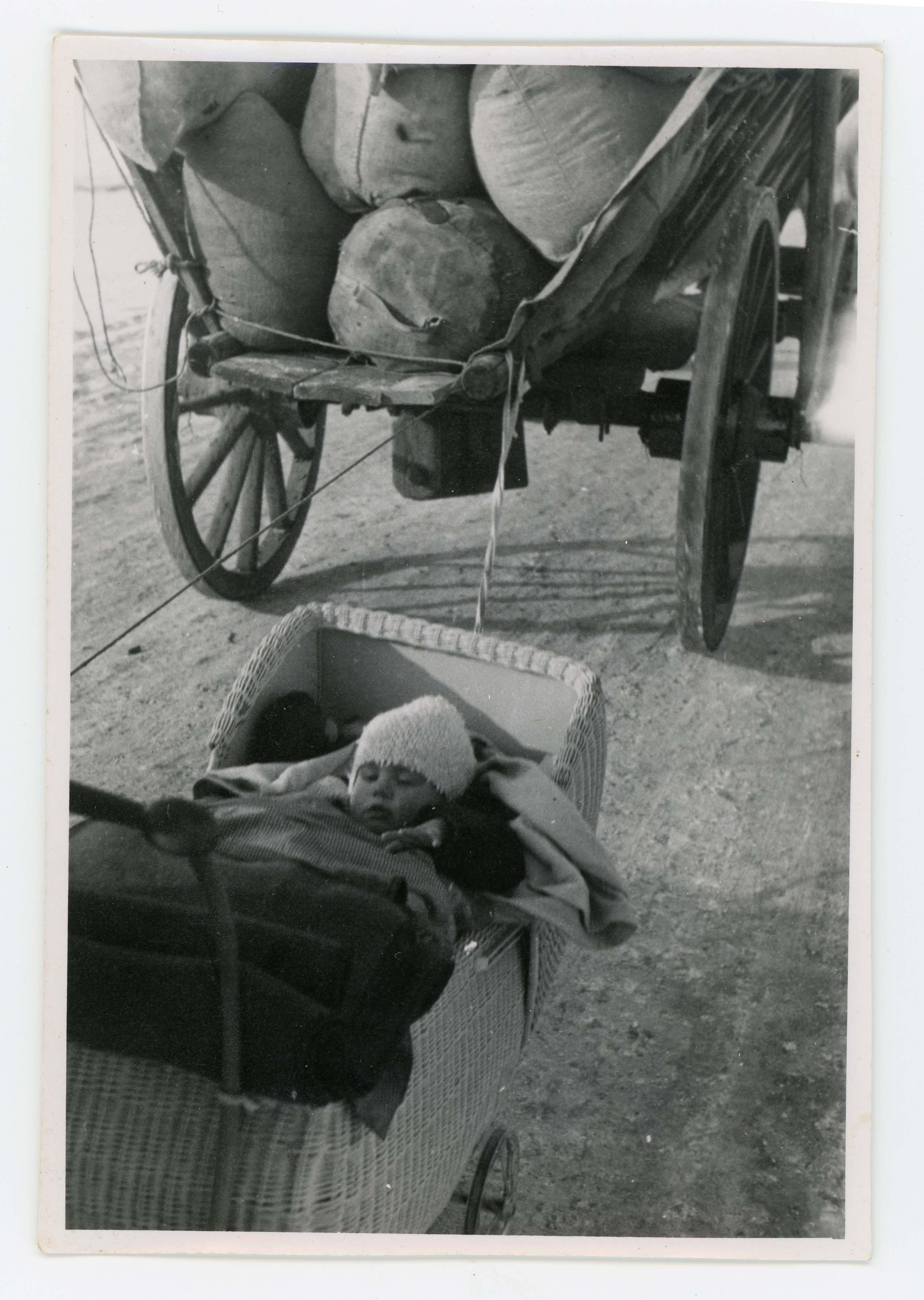 Tod und Krankheit sind ständige Begleiter. 