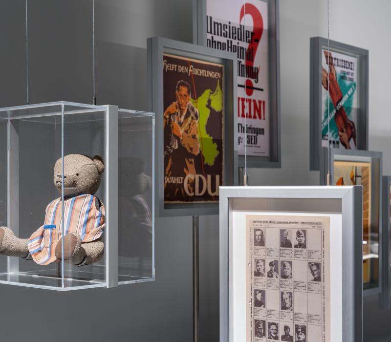 Teddy in Vitrine