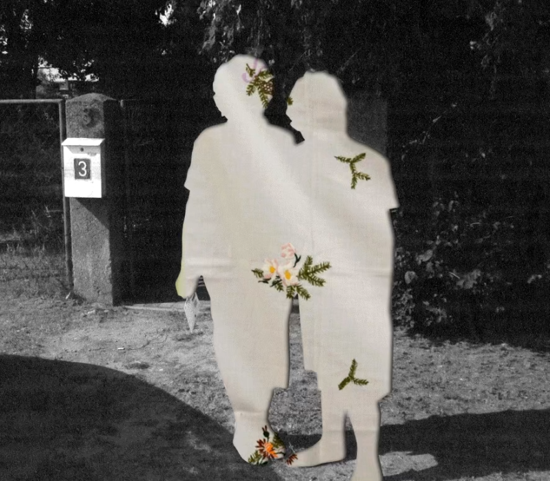 A Friendship Across Borders