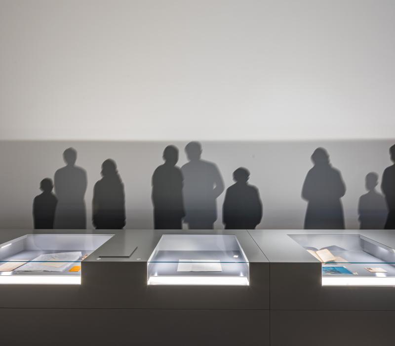 Stories of Arrival and New Beginnings