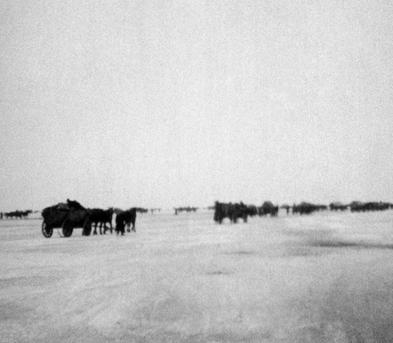 Flucht aus Ostpreußen im tiefen Winter
