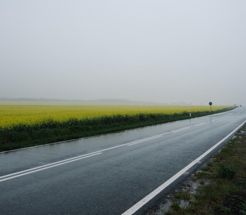 Landstraße im Vordergrund, gelbes Rapsfeld im Hintergrund.
