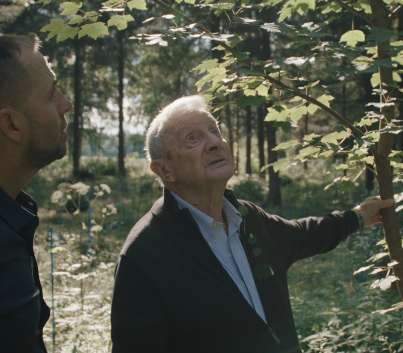 Nur der Wald ist geblieben Zwei Männer im Wald